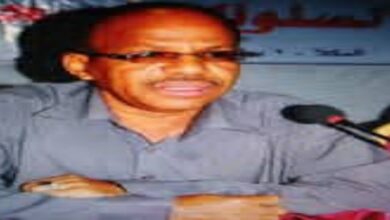 ٢٠٢٥١١١٦ ٠٣١٠٢٩