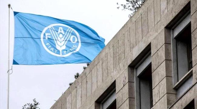 الفاو تطلب تمويلاً بقيمة 86 مليون دولار لمواجهة الأزمة الغذائية في اليمن 1 0d7fb10a 7aeb 4df9 b414 751469888096