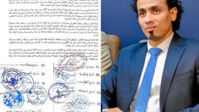 0d8684d6 4303 4992 bb5f e35384a989cf