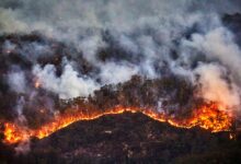 أستراليا تحث السكان على الهروب لهذا السبب 8 145731 426752619