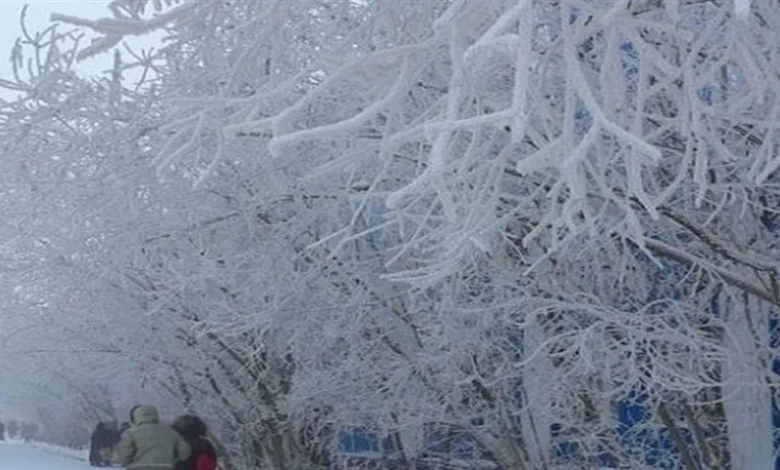 مدينة يتجمد فيها كل شيء .. كيف ينجو البشر في أبرد بقعة مأهولة بالعالم؟ 1 20251218183054811X9