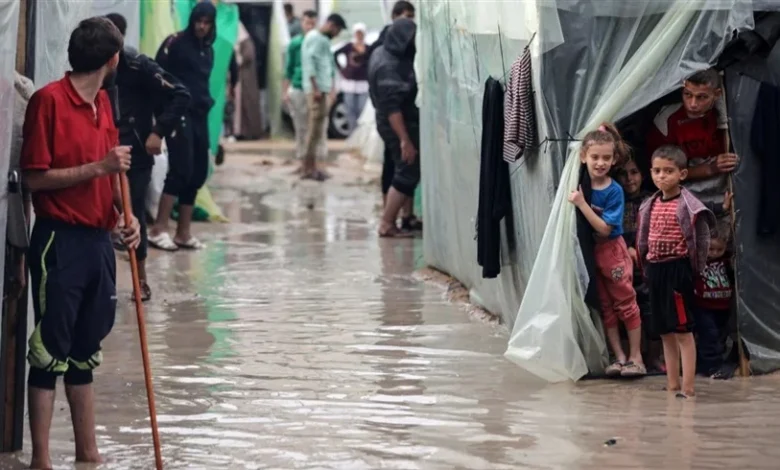 بيان دولي يحذر من كارثة في غزة 1 20251230211957416S0