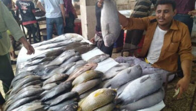 أسعار الأسماك اليوم الأثنين بالعاصمة عدن 4 61a49b5c55743