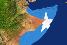 694eaa6c42360411b242d1e4