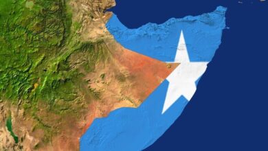 رد دبلوماسي حازم على خطوة إسرائيلية مثيرة للجدل .. 21 دولة تصطف دفاعًا عن وحدة الصومال 4 694eaa6c42360411b242d1e4