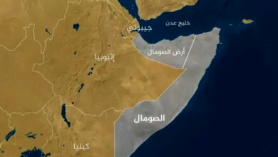 6950782c4c59b751a55be840