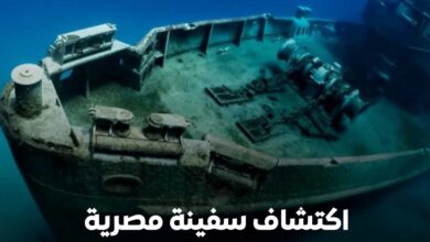 FB IMG 1765284074561 01