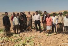 بحضور مدير عام رضوم تم تسليم موقع مشروع منظومة الطاقة الشمسية لمزارعي منطقة الجربة بمدينة رضوم 8 IMG 20251204 WA0047