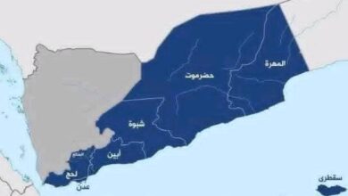 الجنوب يكتمل.. خارطة السيادة تُرسم من جديد بعد تطهير وادي حضرموت والمهرة 4 IMG 20251204 WA0065