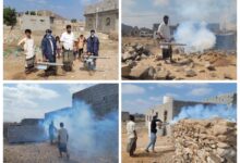 IMG 20251229 WA06221