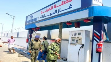 IMG ٢٠٢٥١٢١٠ ٢٢٣٩٤٦