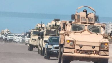 IMG ٢٠٢٥١٢٢٠ ١٠٠٧٤٣