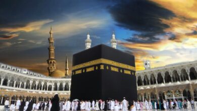 IMG ٢٠٢٥١٢٢٢ ٠١٠٦٥٠