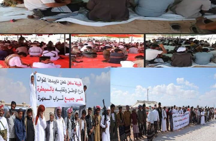 قبائل المهرة تحتشد في الغيضة دعماً لتمكين قوات درع الوطن المهرية وتُشيد بدور السعودية في خفضت التصعيد..(تقرير) 1 WhatsApp Image 2025 12 14 at 19.42.38