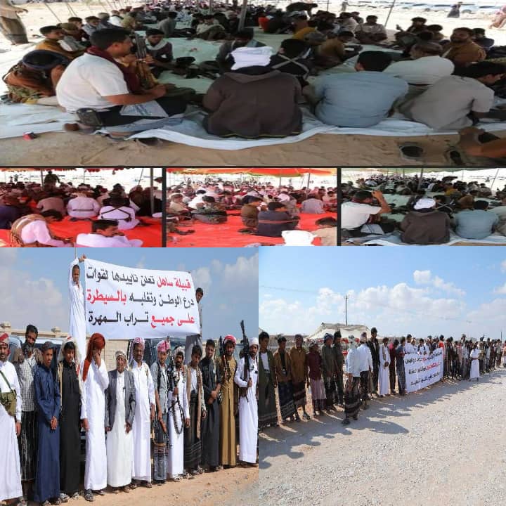 قبائل المهرة تحتشد في الغيضة دعماً لتمكين قوات درع الوطن المهرية وتُشيد بدور السعودية في خفضت التصعيد..(تقرير) 1 WhatsApp Image 2025 12 14 at 19.42.38