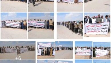 WhatsApp Image 2025 12 17 at 21.36.29