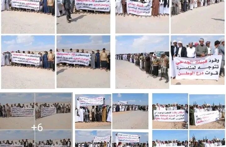 قبائل المهرة تجدد تمسكها بتمكين أبنائها وتعزيز الأمن والاستقرار 1 WhatsApp Image 2025 12 17 at 21.36.29