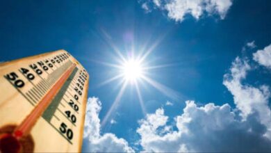 e9f1e9ec 5e81 4fc8 9f05 c4058f1c51d9