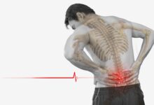 shutterstock 491507650