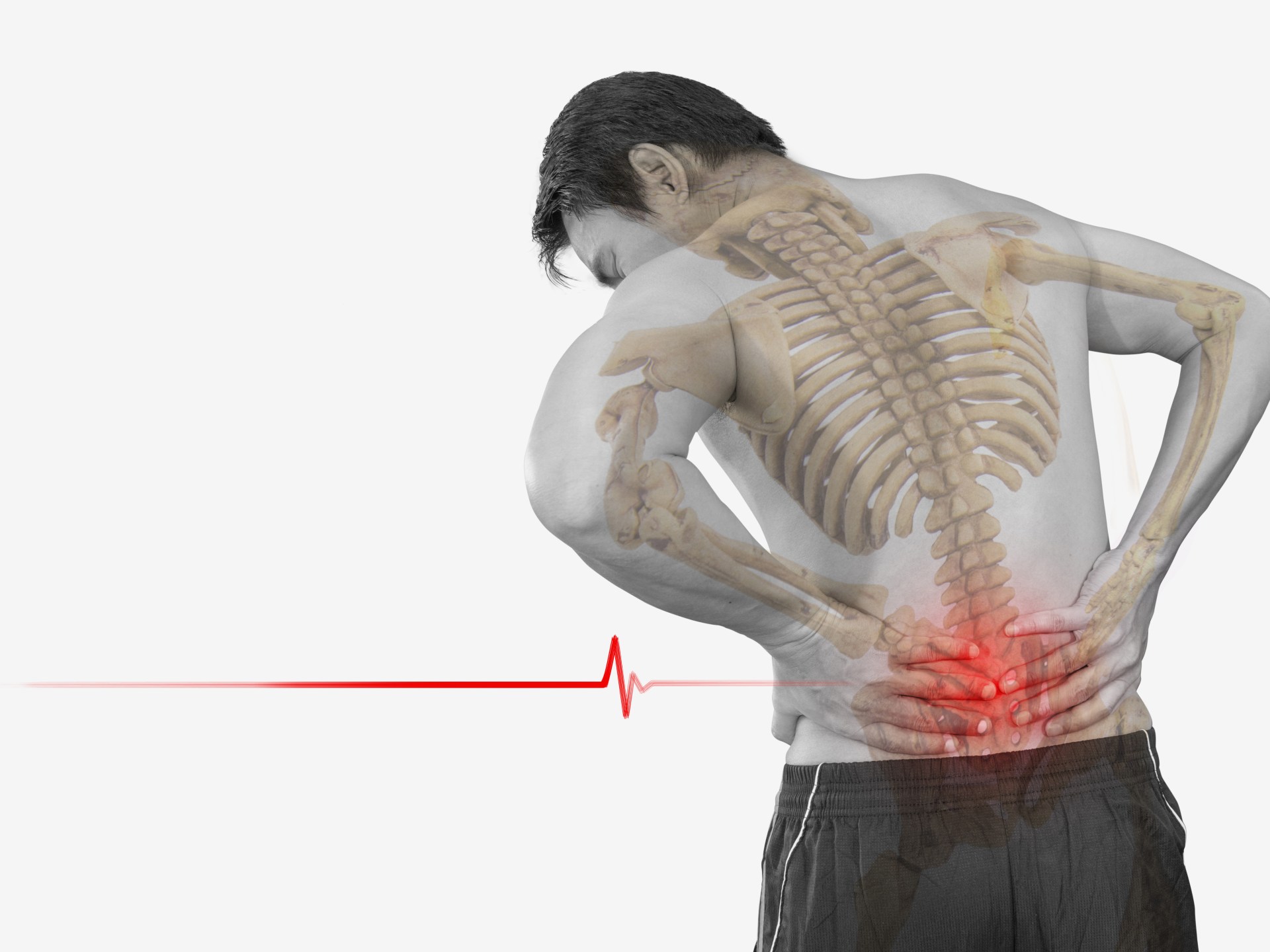 shutterstock 491507650