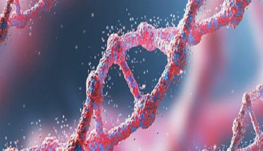 شيفرة المعمرين .. الحمض النووي القديم يفك لغز العيش لأكثر من 100 عام 1 20251226181853478MX