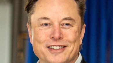 IMG ٢٠٢٦٠١١١ ٠٣٣٣٥٨