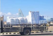 IMG ٢٠٢٦٠١١٧ ٢٣٤٣٠٧