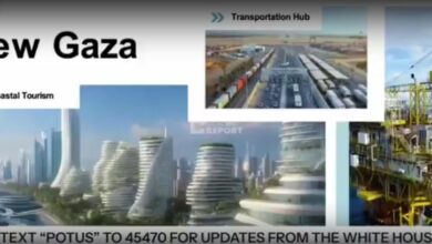 IMG ٢٠٢٦٠١٢٣ ٠١١٣٣٧