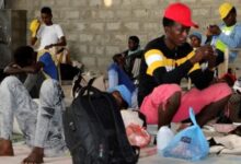 IMG ٢٠٢٦٠١٢٤ ١٠٤١٢٤