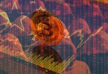 IMG ٢٠٢٦٠١٢٨ ١٥٤٢١٤