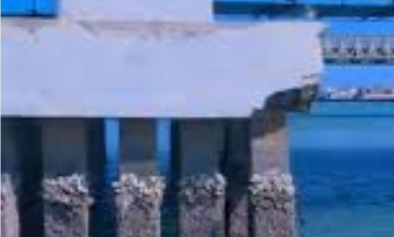 IMG ٢٠٢٦٠١٢٩ ١٩١٩٣٠