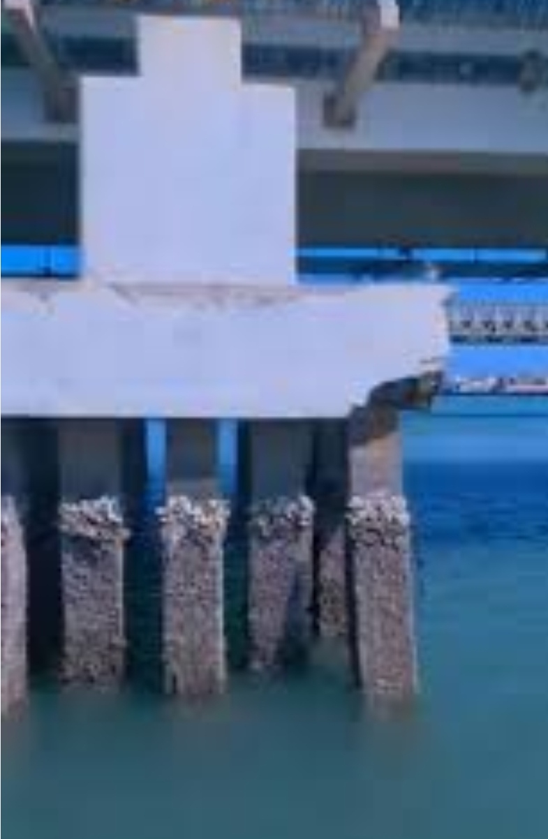 IMG ٢٠٢٦٠١٢٩ ١٩١٩٣٠