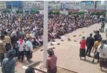 IMG ٢٠٢٦٠١٣٠ ١٥١٥٣٨