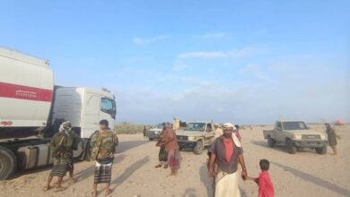 IMG ٢٠٢٦٠١٣١ ١٨١٨٥٥