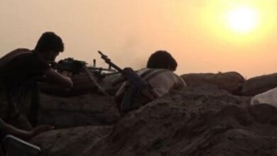 IMG ٢٠٢٦٠١٣١ ١٩٣٩٤٨