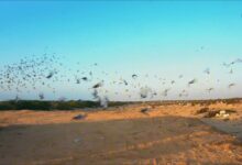 WhatsApp Image 2025 12 31 at 21.14.39