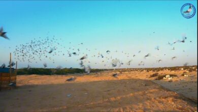 WhatsApp Image 2025 12 31 at 21.14.39