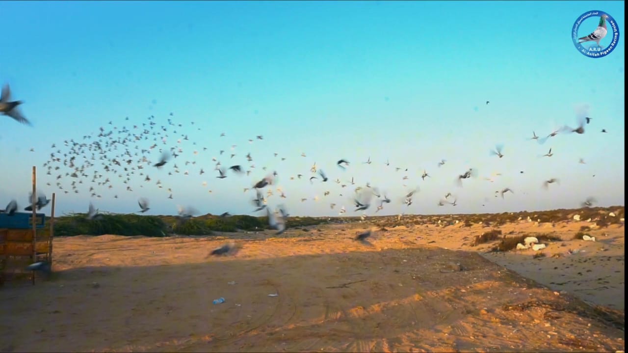 WhatsApp Image 2025 12 31 at 21.14.39