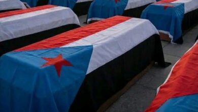 WhatsApp Image 2026 01 05 at 17.25.11