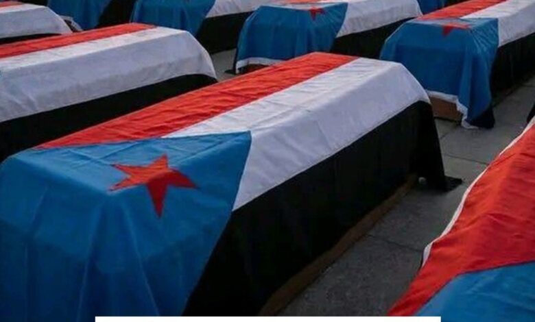 WhatsApp Image 2026 01 05 at 17.25.11