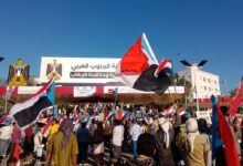 WhatsApp Image 2026 01 13 at 17.20.20