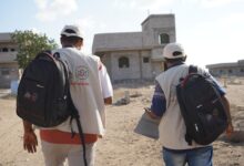 WhatsApp Image 2026 01 14 at 00.03.34