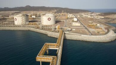 WhatsApp Image 2026 01 15 at 16.22.44