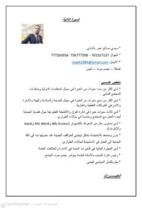 السيرة الذاتية مجدي باشادي1 1