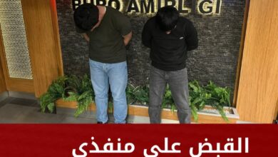 ٢٠٢٦٠١٢٥ ١٥٤٥٤٢