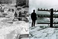 698184754c59b70fde4cfa27