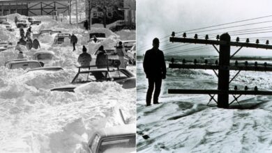 698184754c59b70fde4cfa27