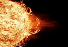 6981af764c59b76300119494