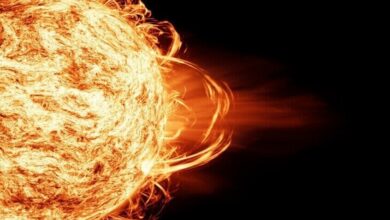 6981af764c59b76300119494