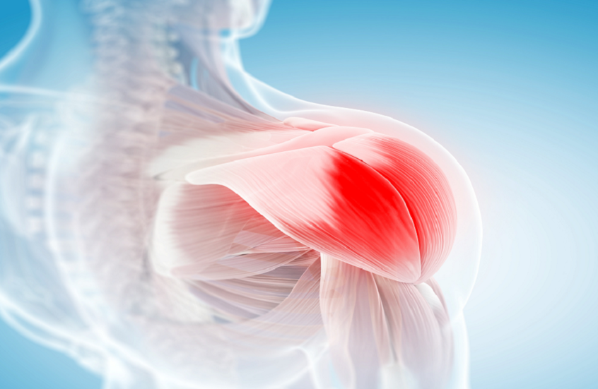 6981db2c4c59b76797744101